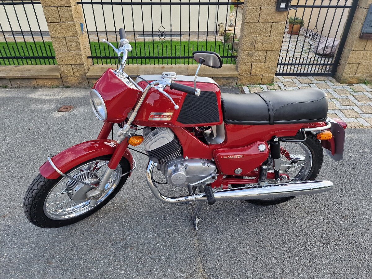 Jawa bizon