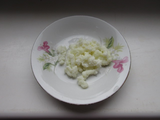 Tibetská houba