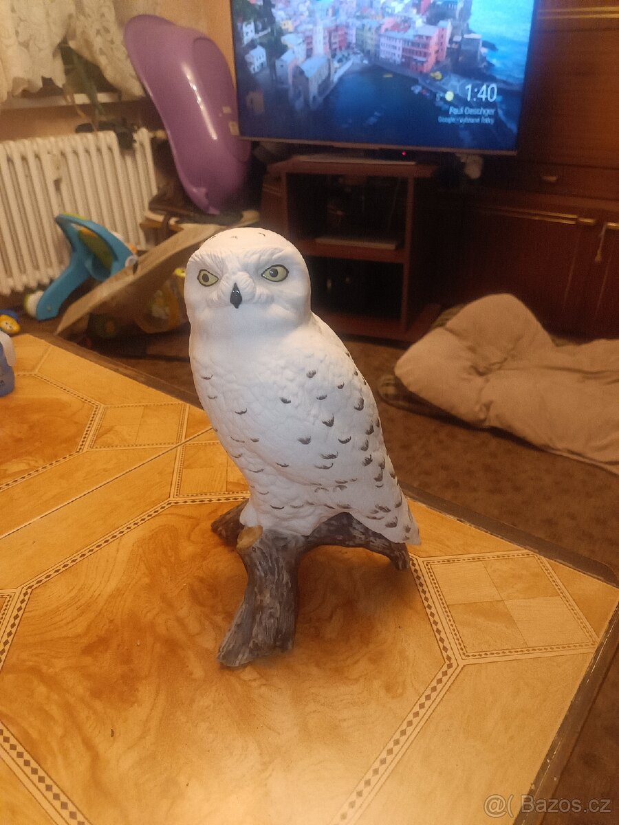 Sova