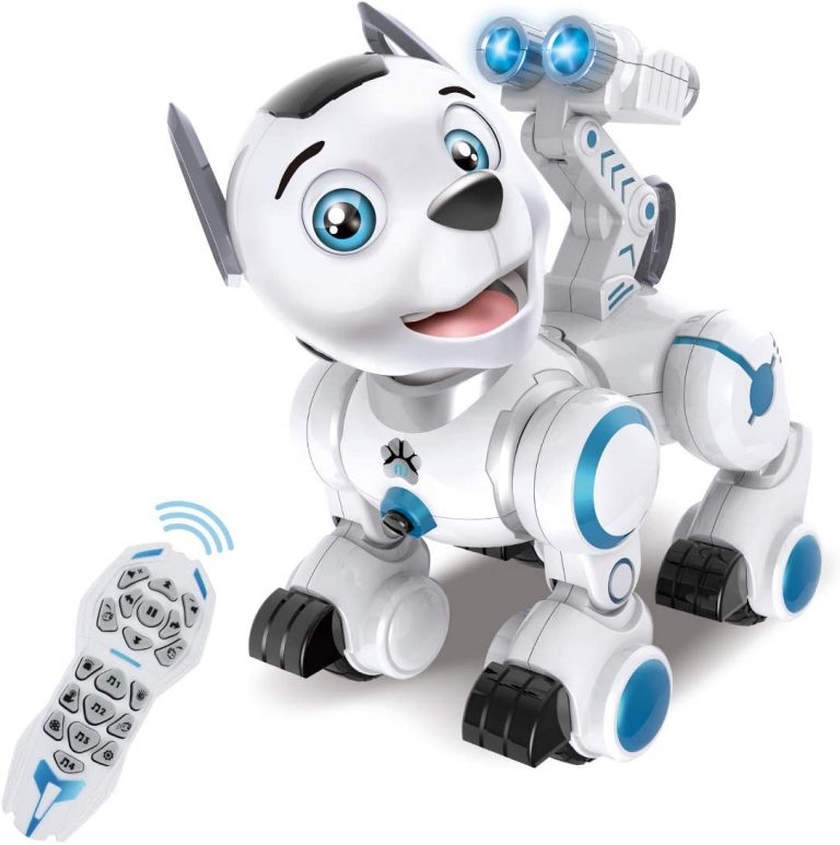 NEJLEPŠÍ ROBOTNÍ PES – KTERÝ TANCUJE