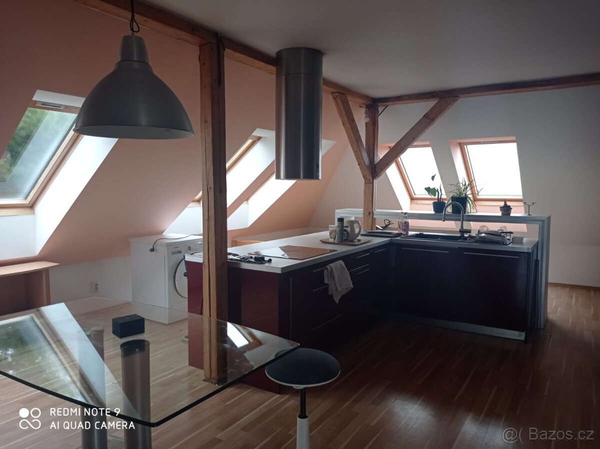 Pronajmu pokoj/e v bytě 130m2 v RD v Maslovicich