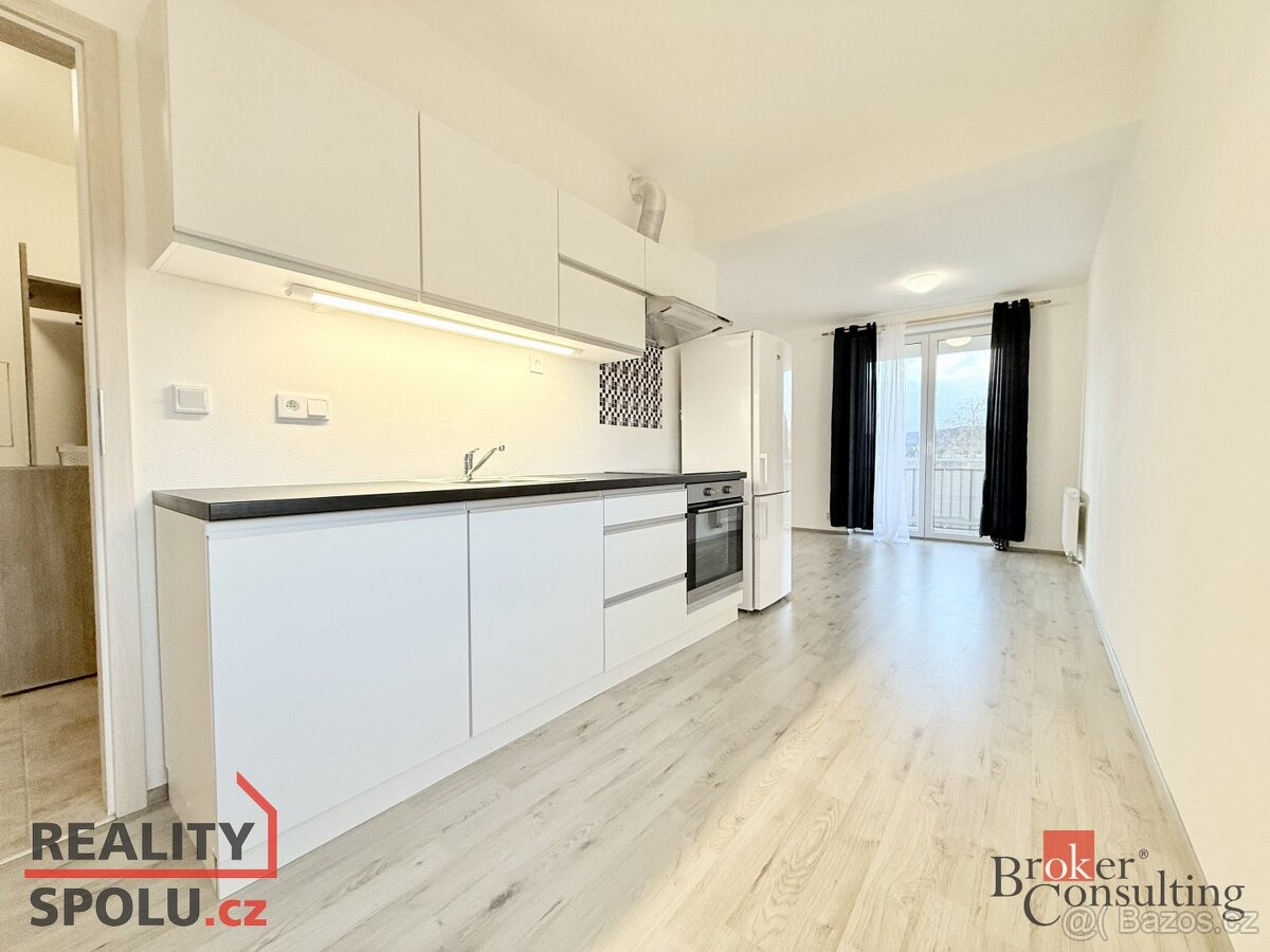 Pronájem, byty/1+kk, 39 m2, Svobodova 383, 36225 Nová Role,