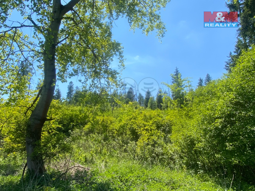 Prodej lesa, 15167 m², Kropáčova Vrutice