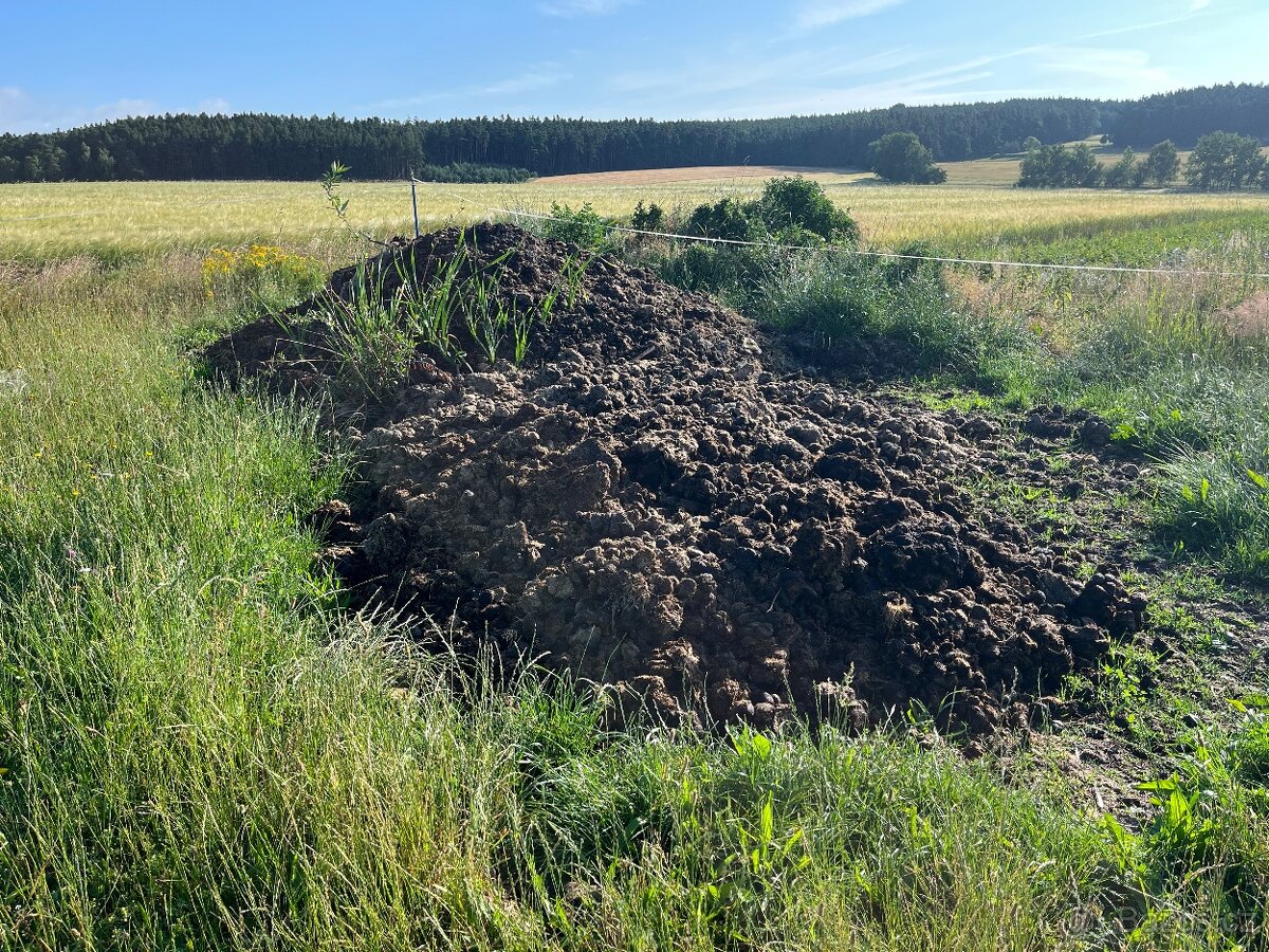Koňský kůň