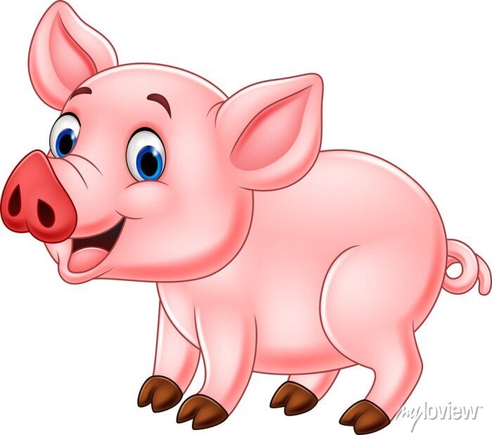 Prodám vykrmená prasata