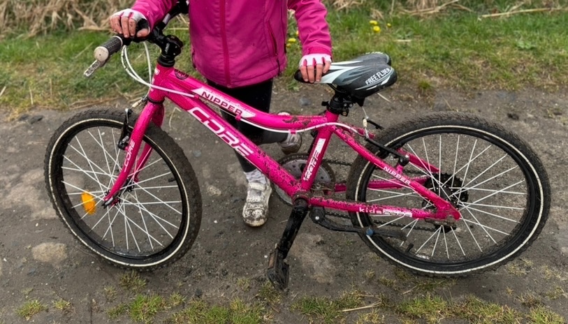 Dívčí kolo CORE NIPPER 20”