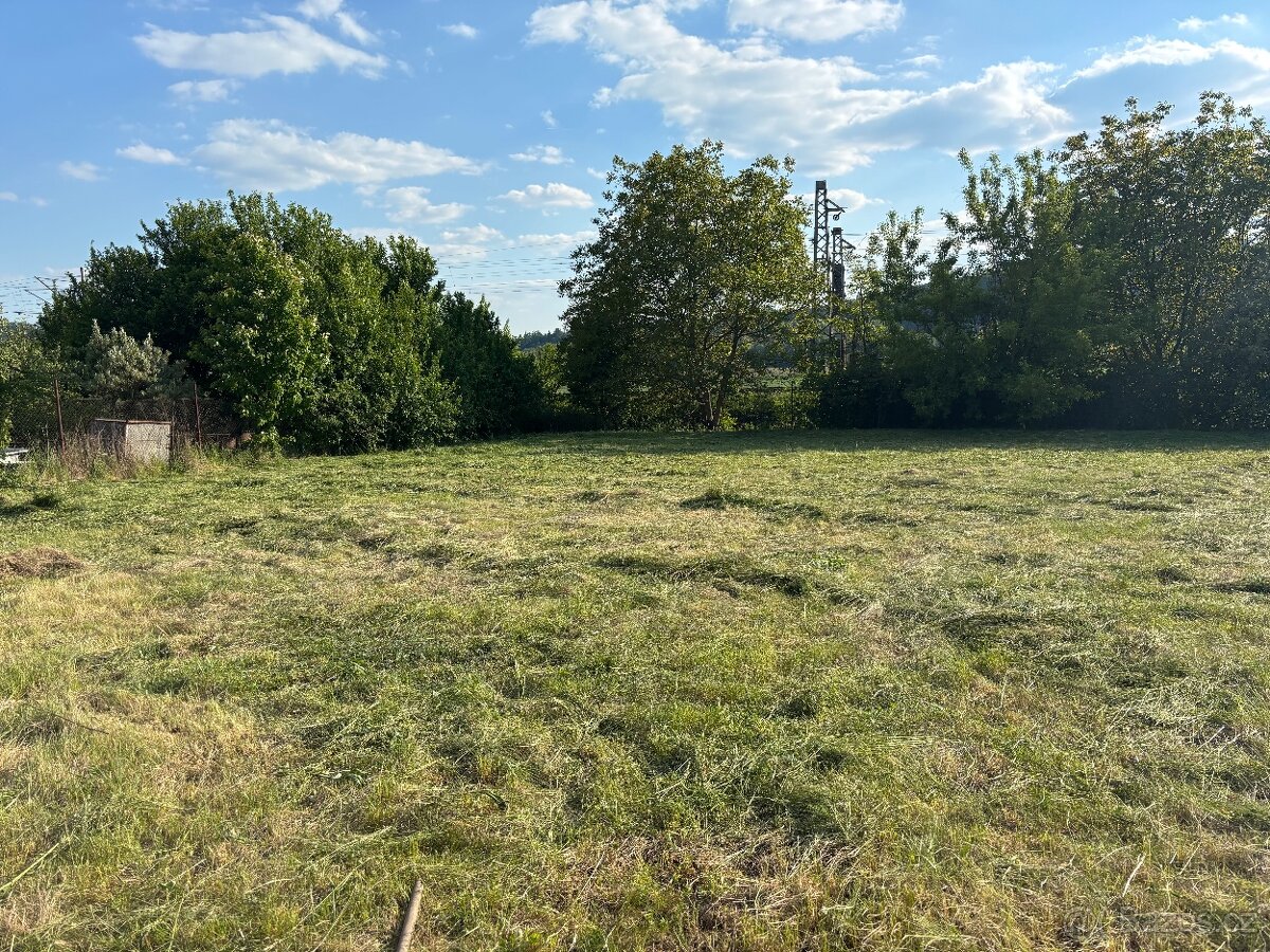 Seno/tráva