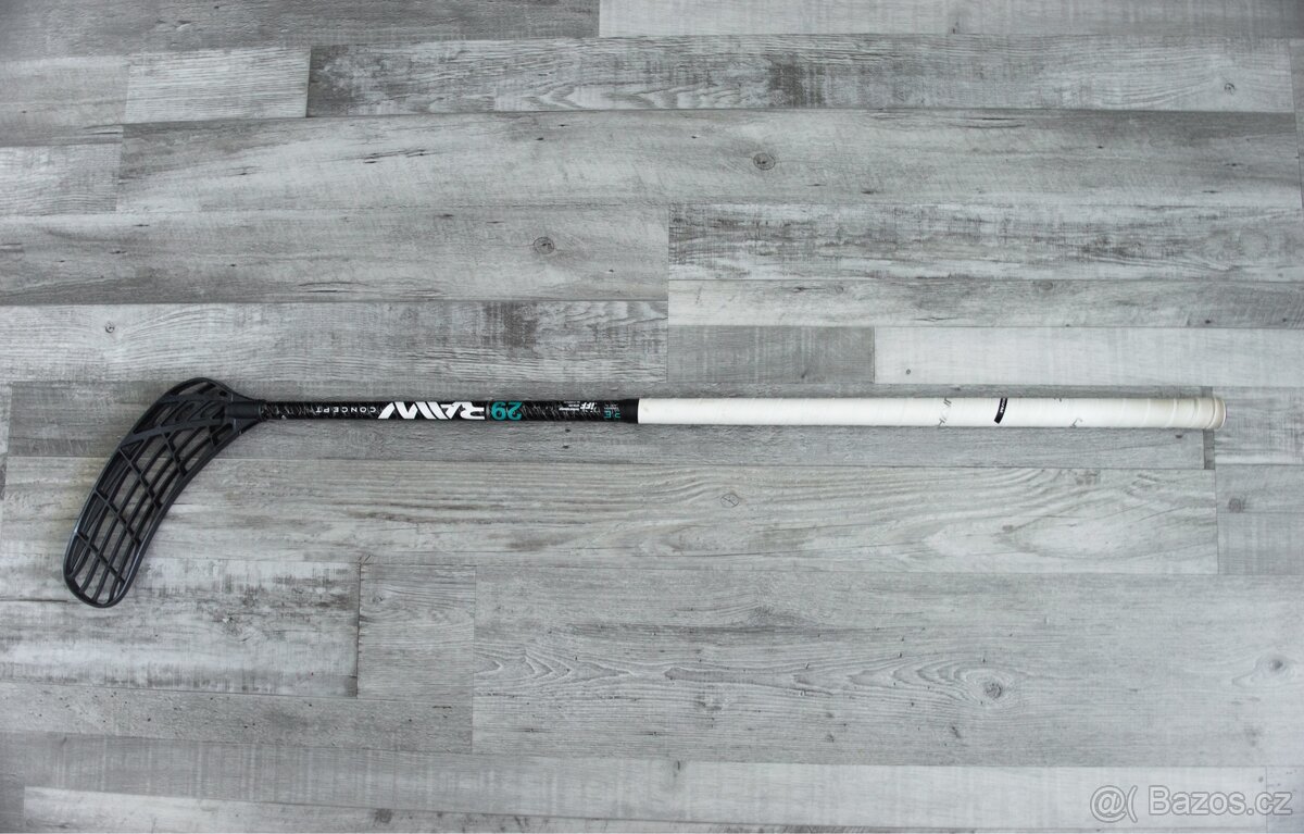 Fatpipe Raw concept 29 pwr
