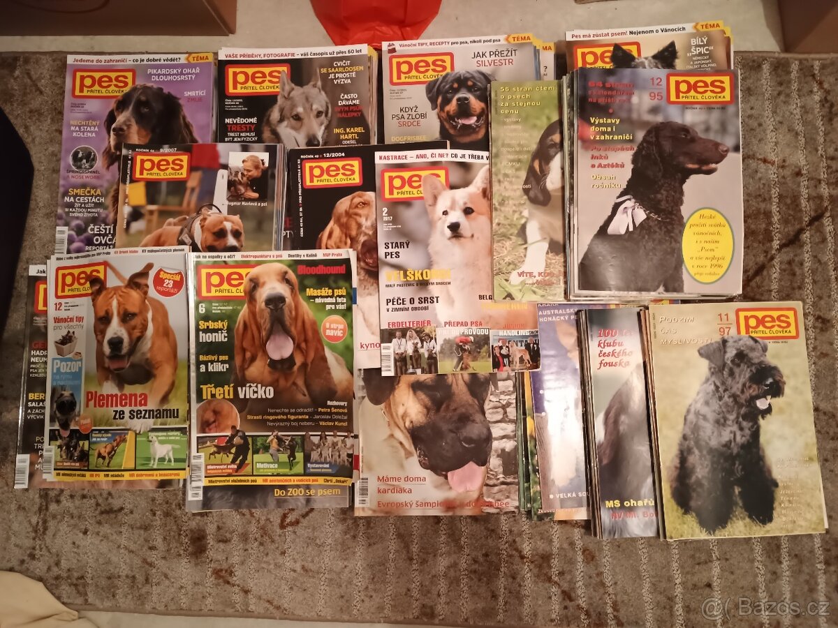 Pes přítel člověka, Svět psů