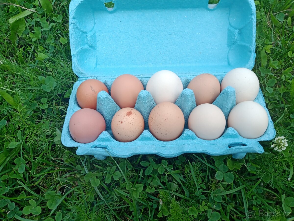 Domácí vajíčka
