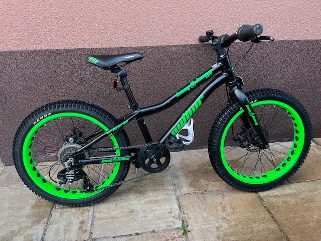 Author king kong 20"