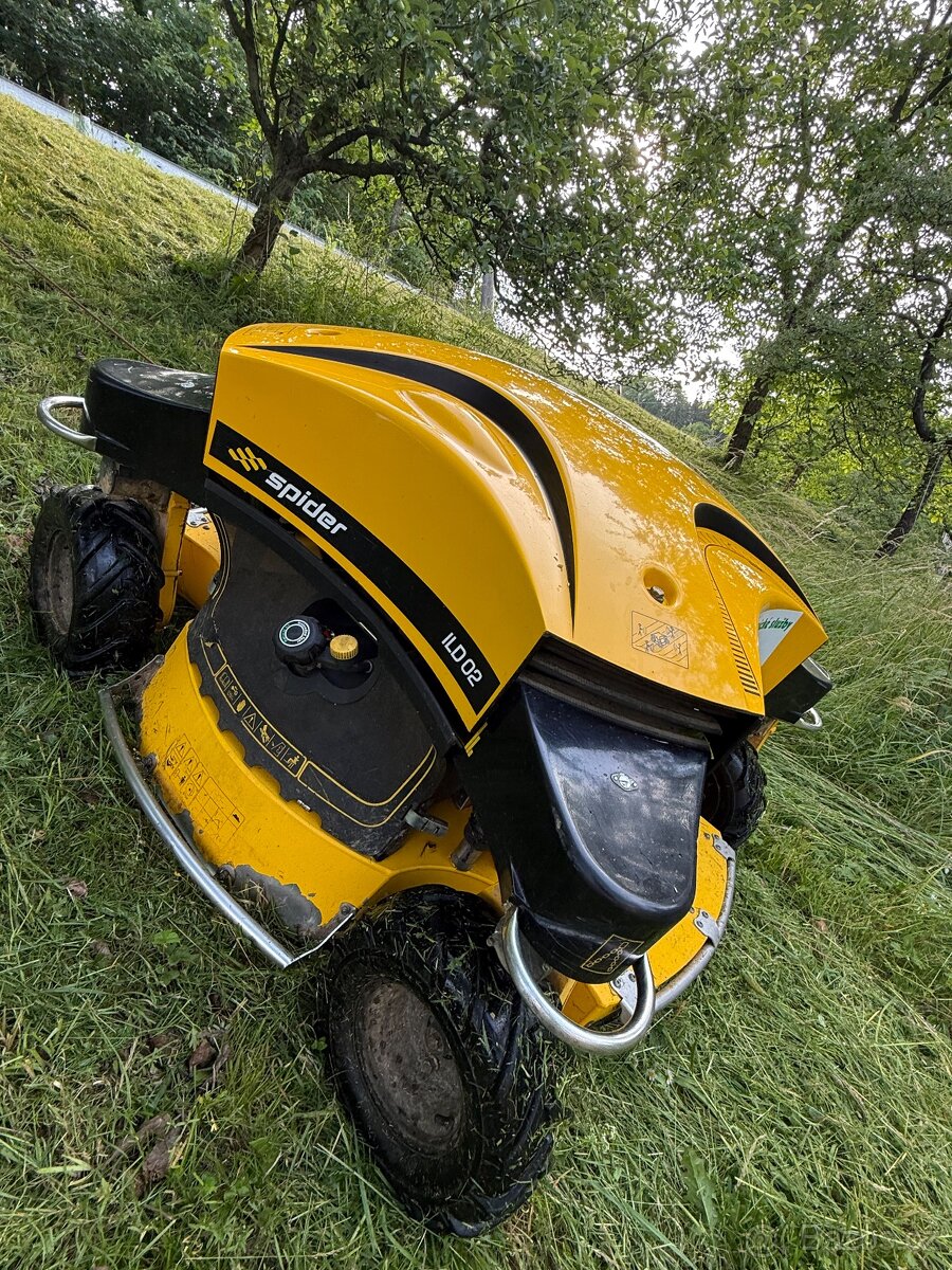 Spider ILD 02