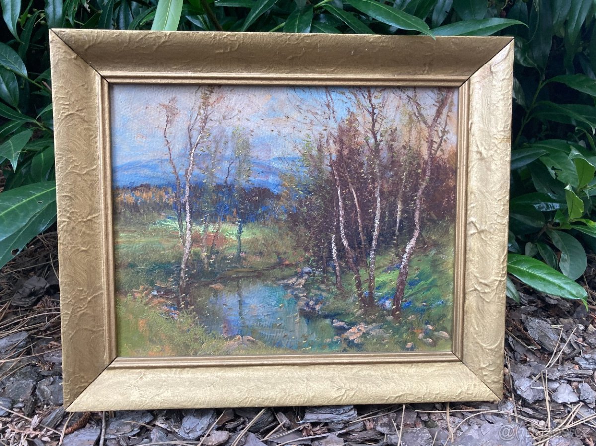 Obraz,motiv břízy u potoka,zlatý rám,rozmě 30x36cm,490 kč