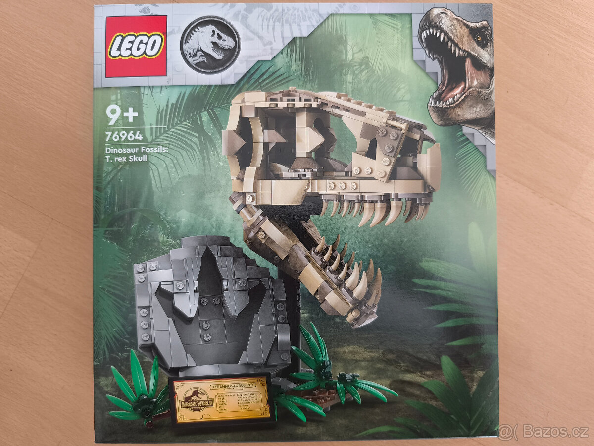 76964 Dinosauří fosilie: Lebka T-rexe