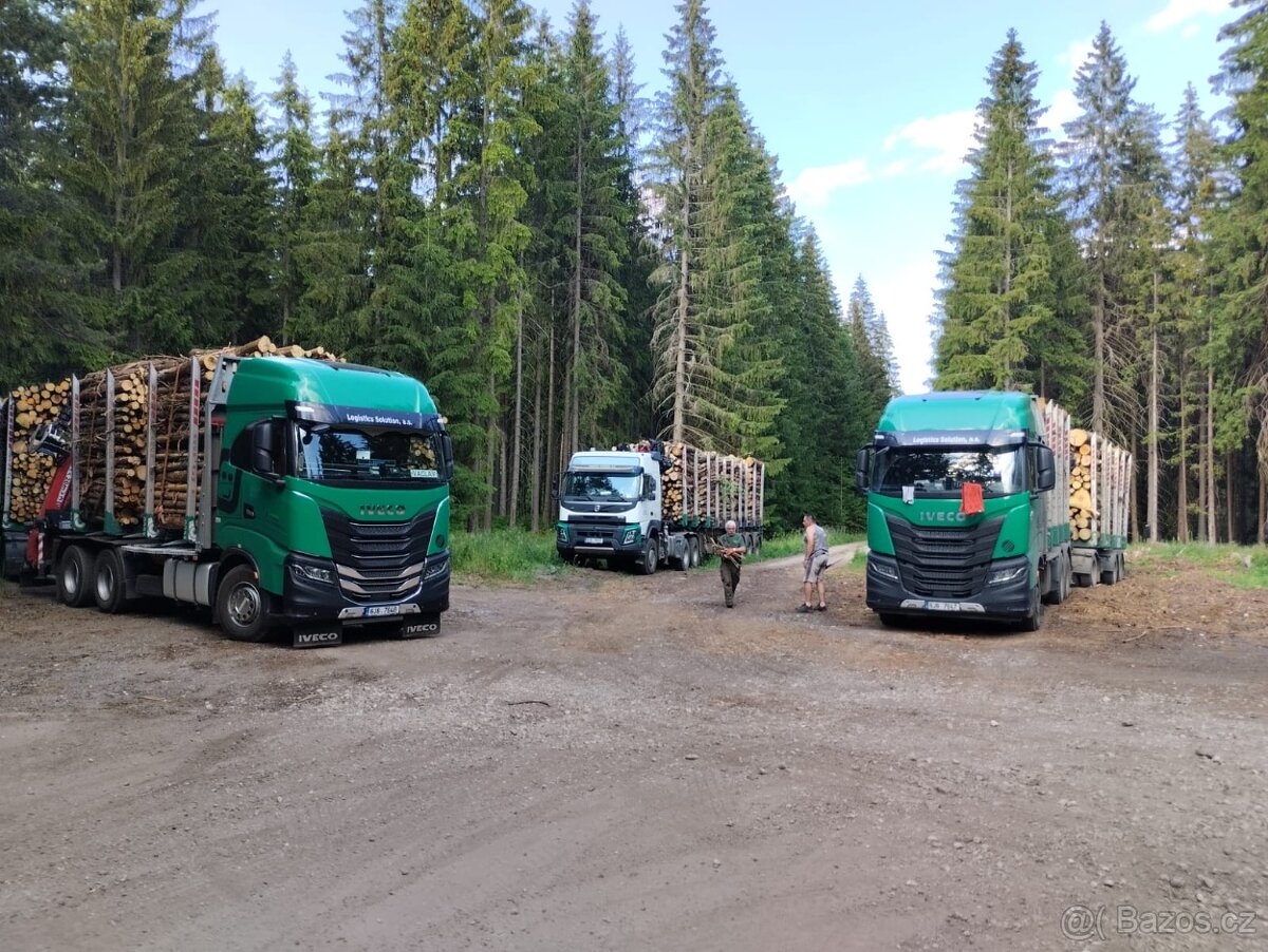 řidič C E doprava dříví, ruka i bezruka,Jižní Čechy,Vysočina