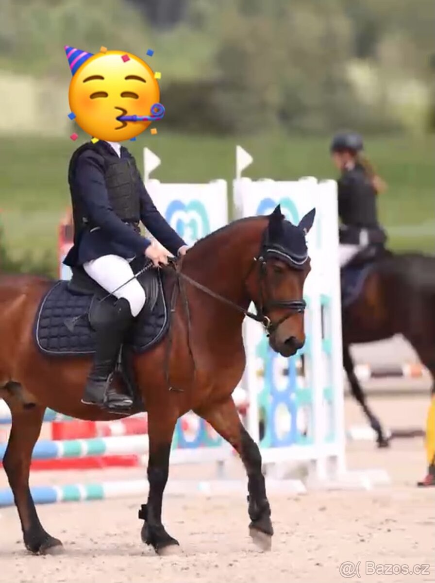PONY pro princezny