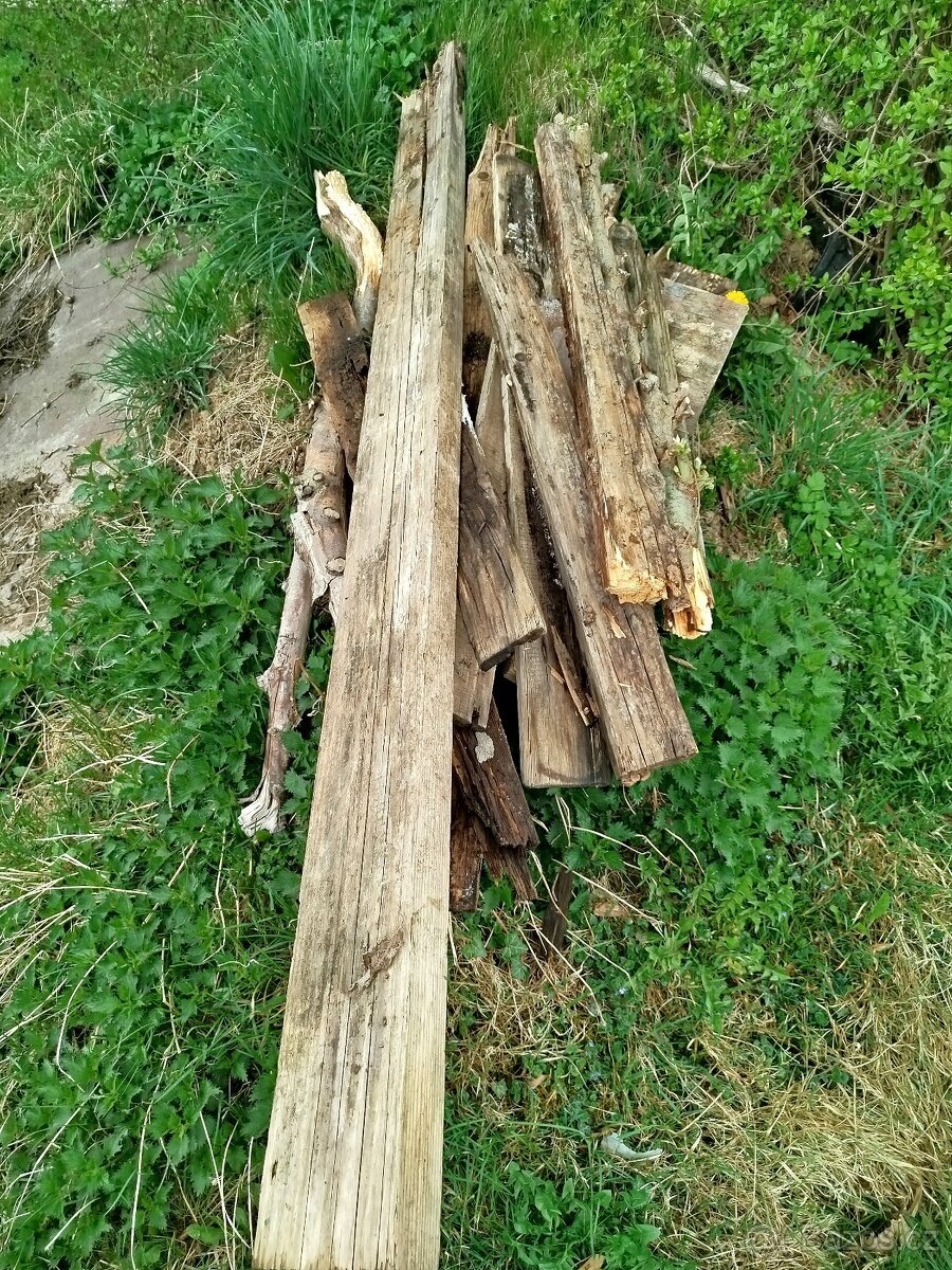 Dřevo + kmeny stromů za odvoz