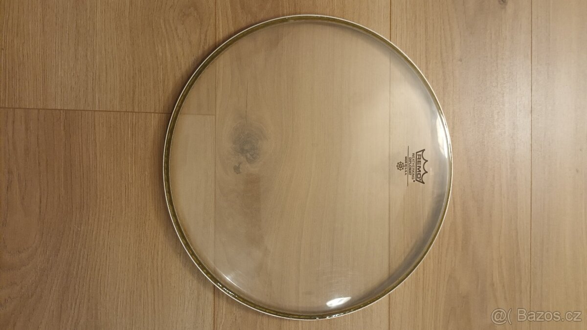 Remo Diplomat 12"