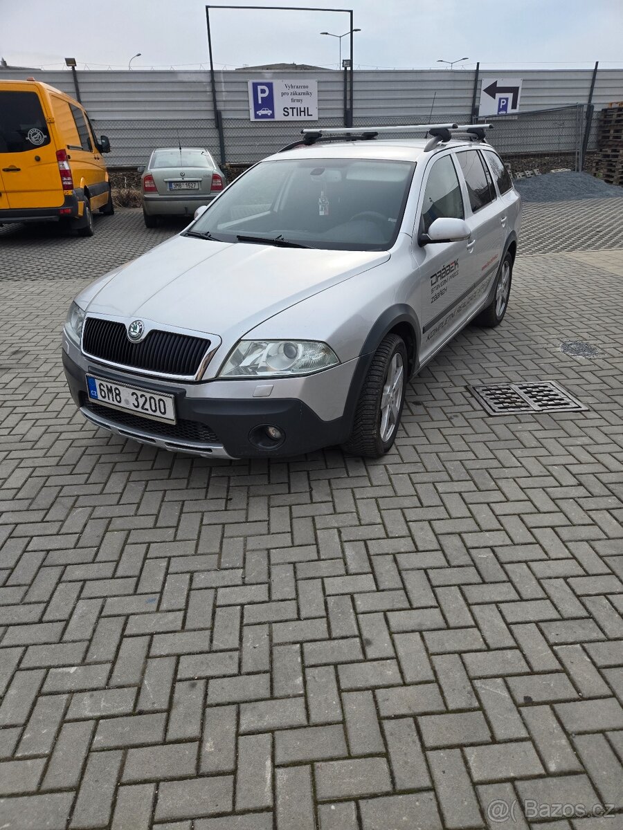 Octavia Scaut