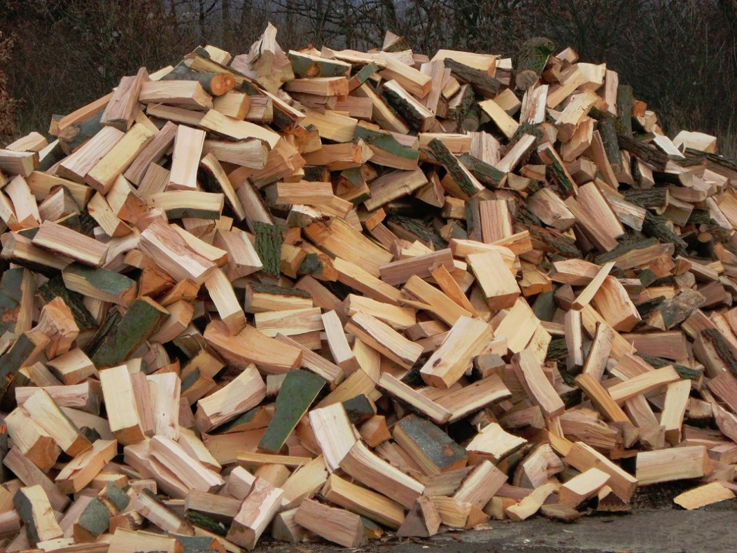Palivové dřevo - Buk AKCE