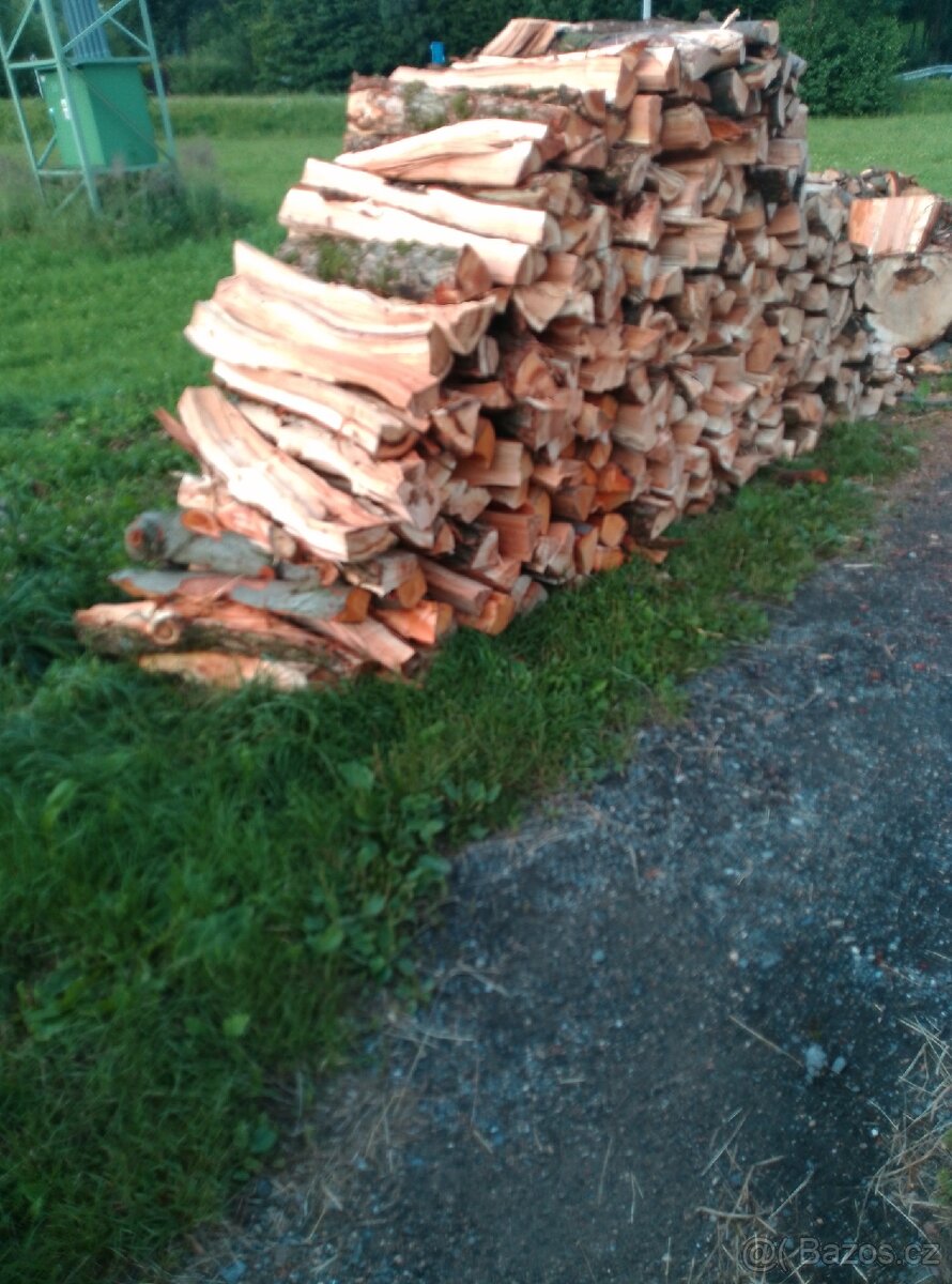 Dřevo