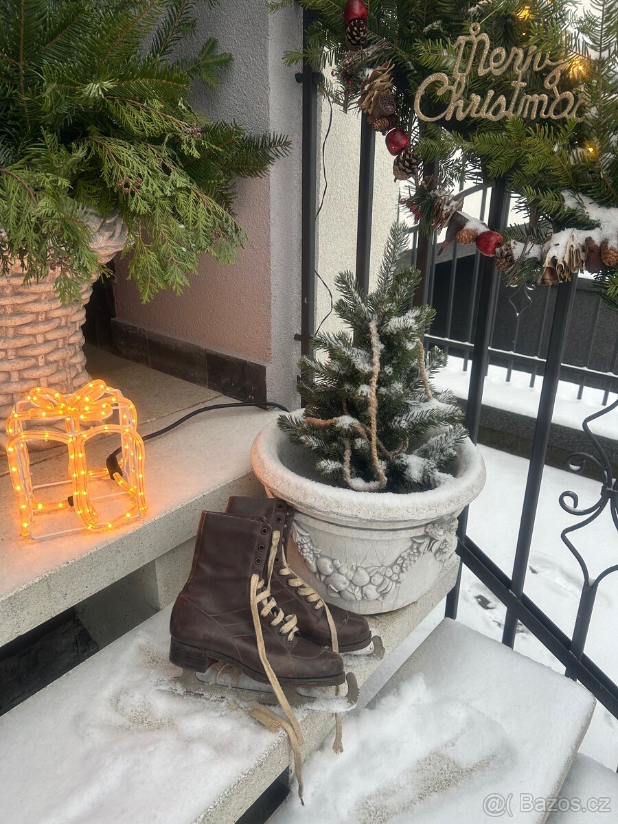 Historické brusle Alpina s čepelemi Sheffield,