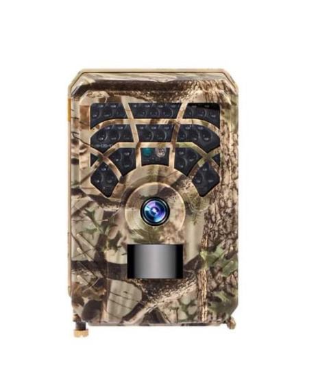 Fotopast, časosběrná kamera