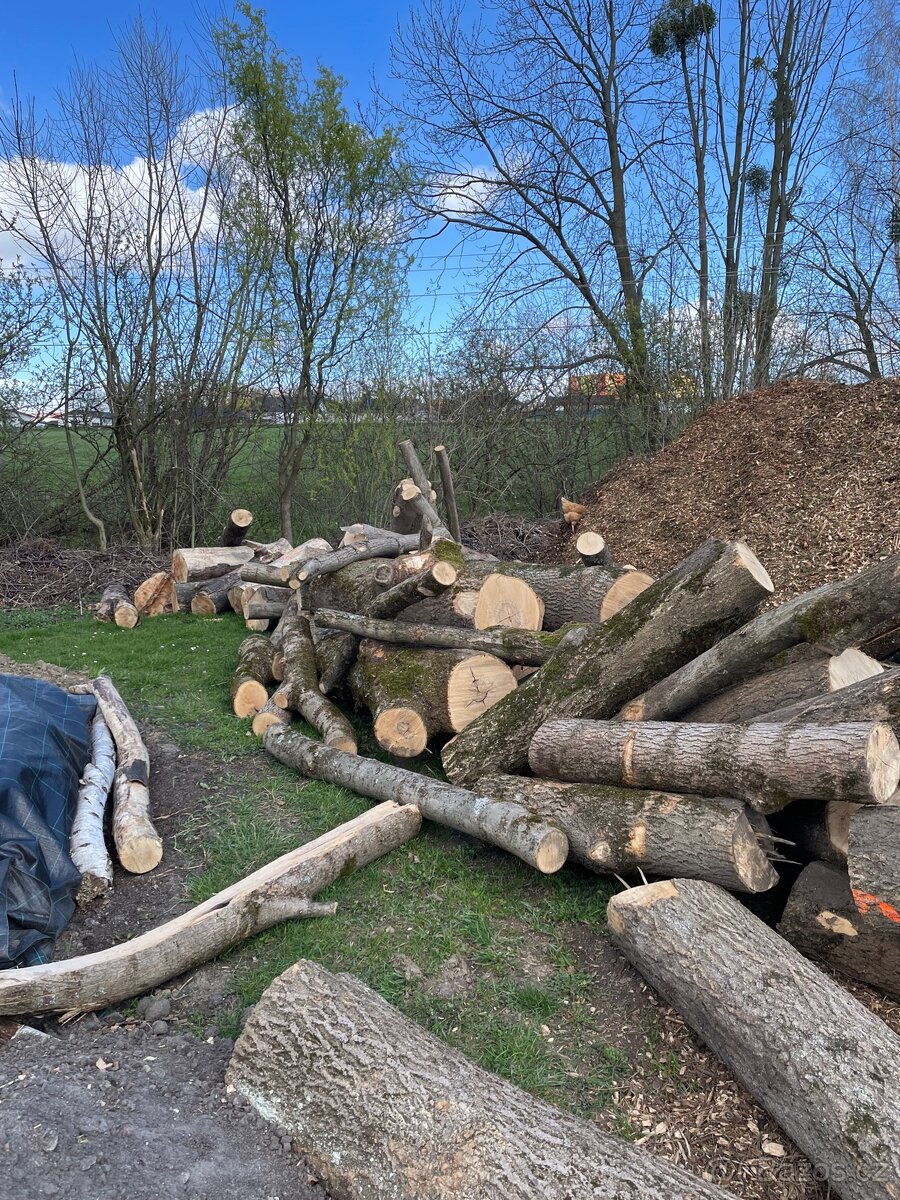 Prodej štípaného dřeva nebo kulatina na topení