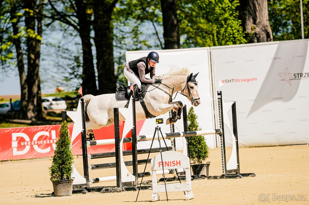 Pony valach do sportu