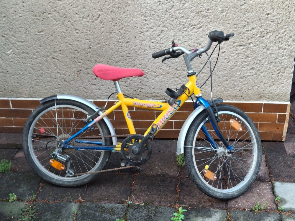 Dětské kolo 20