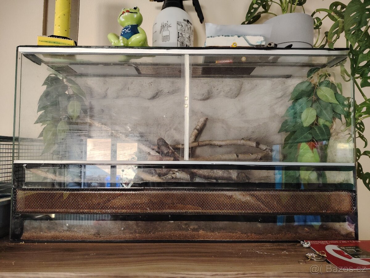 Terarium s Pagekonem řasnatým