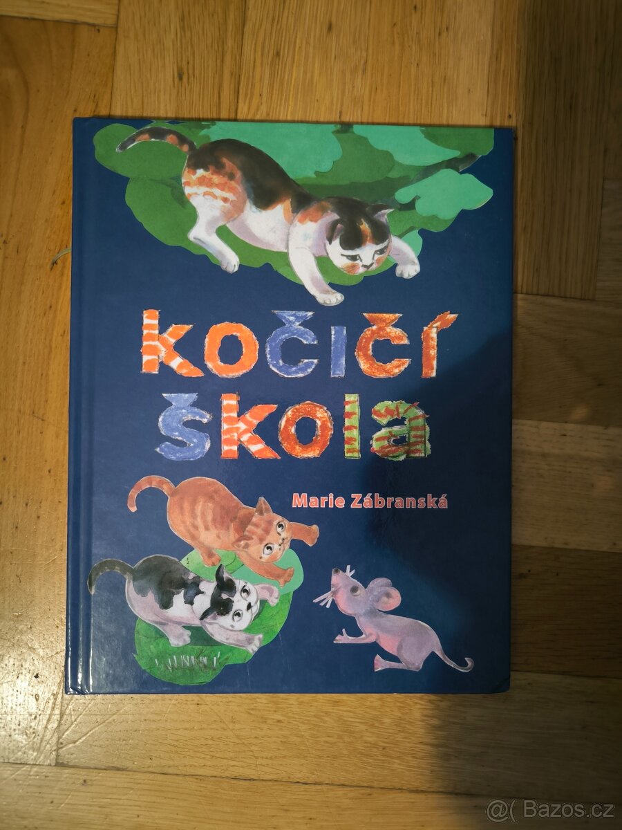 Kočičí škola