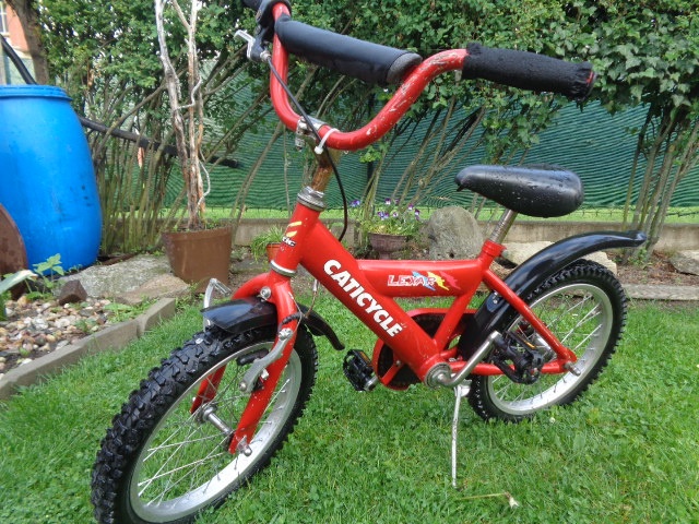 kolo Caticycle-moderní-předvoj bikrossu, vel. 16"