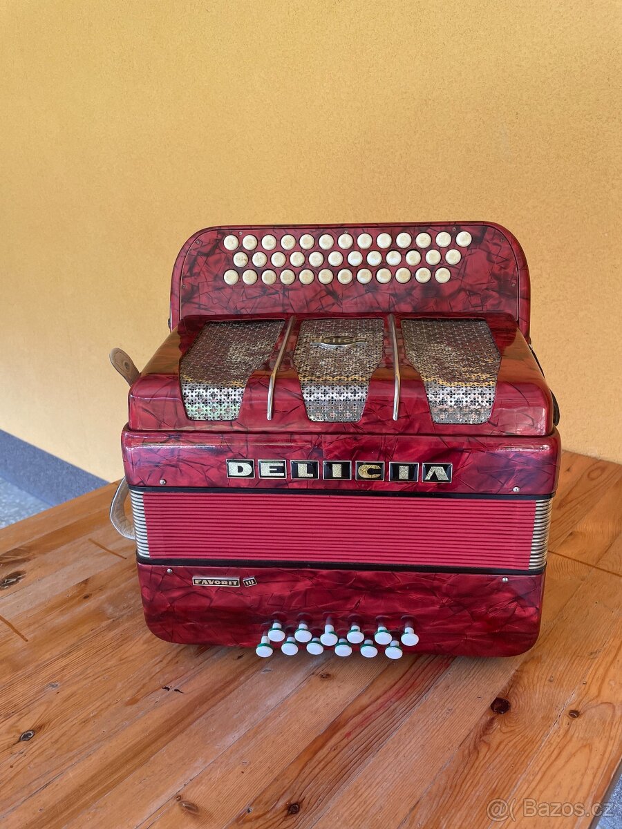 Heligonka delicia favorit iii