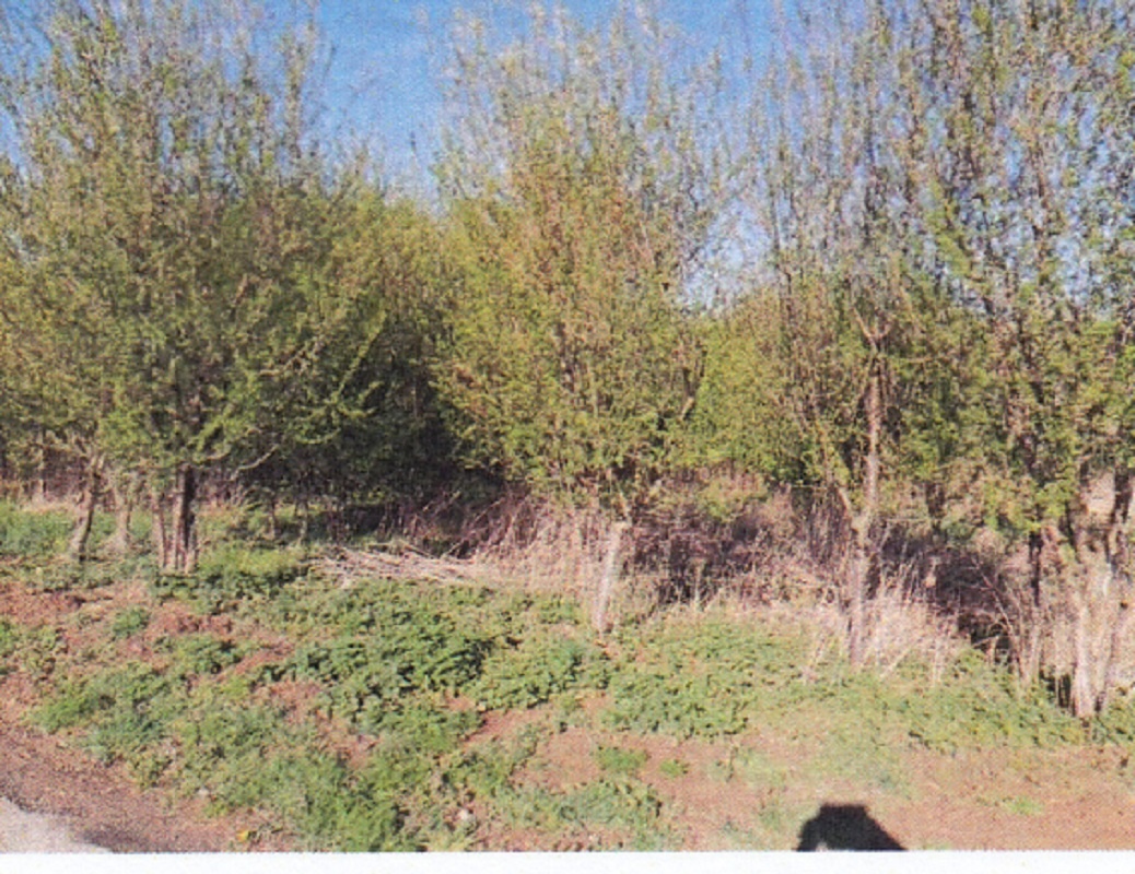 stavební pozemek 2.000m2, Morašice, ID 7557e 1208