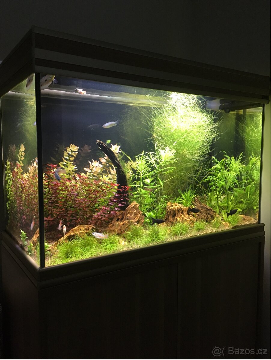 Aquatlantis Fusion 80 + skříňka