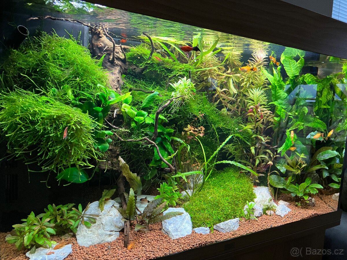 Akvarijní komplet Juwel Rio 125