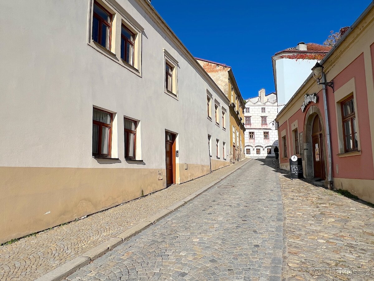 Pronájem bytu 1+1, 39 m2 v centru města Znojma