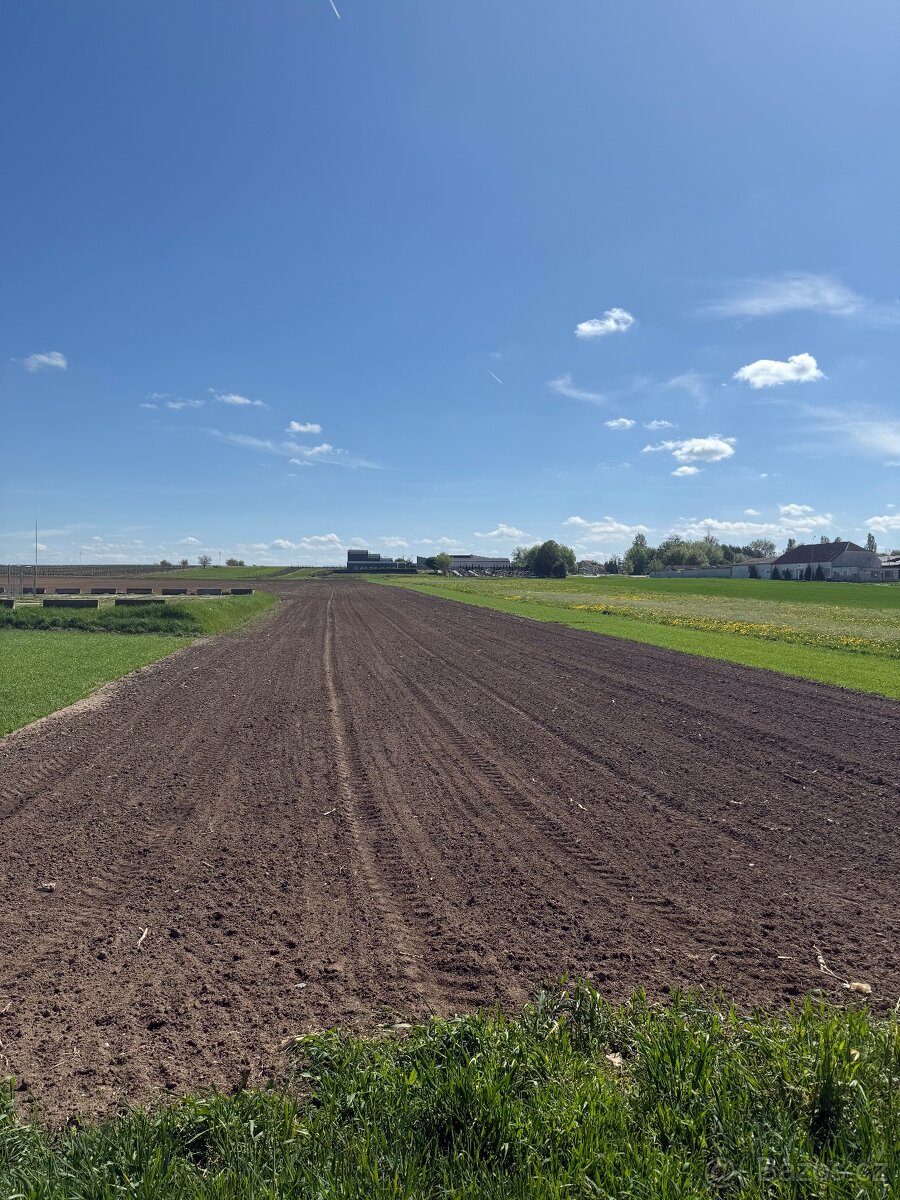 Prodej pole 5 150 m²