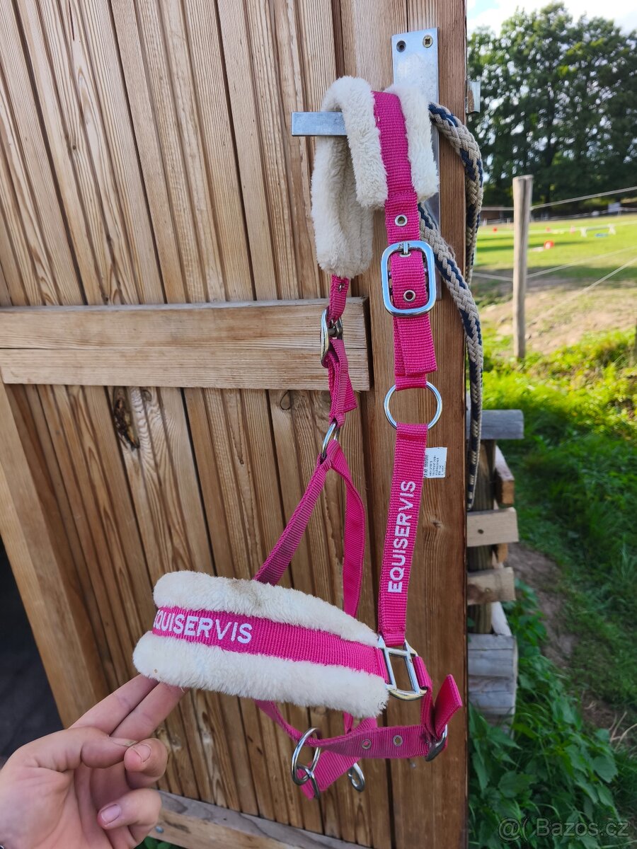 Ohlávka full