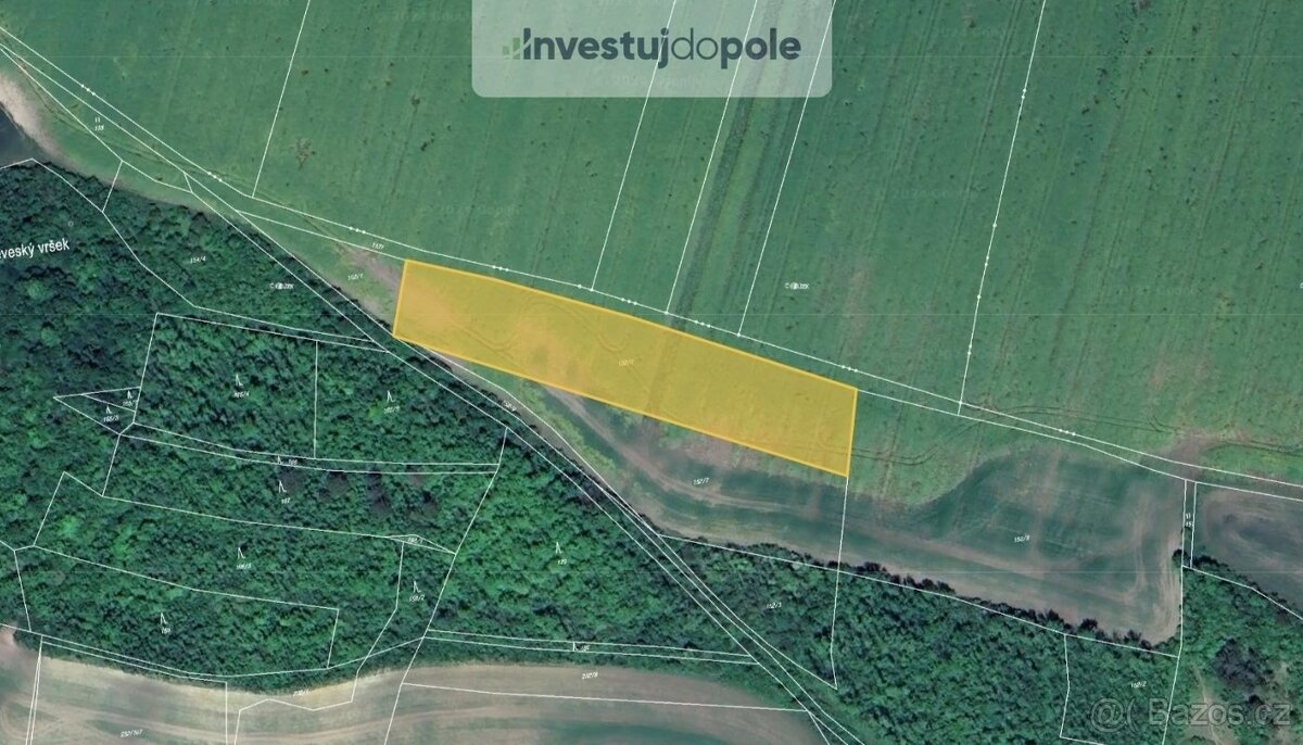 Prodej pole 5 755 m², Chožov - Třtěno, ev.č. 2025-06-23-11