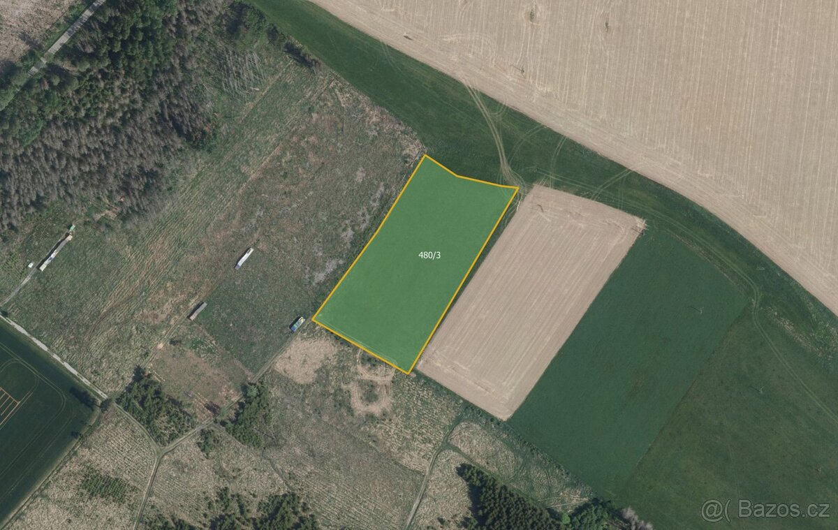 Zemědělská půda, prodej, Černá, Žďár nad Sázavou