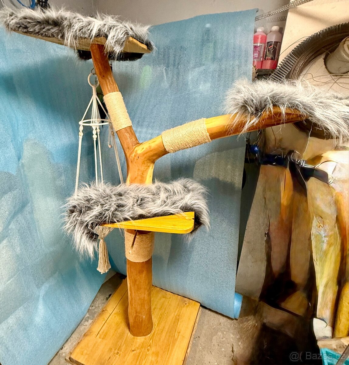 Kočičí strom z masivu