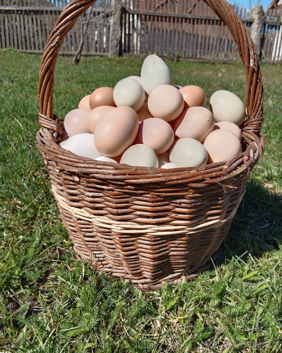 Domácí vajíčka
