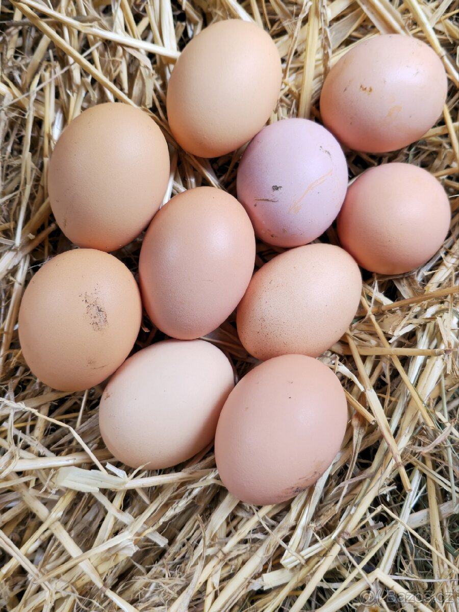 Domácí vajíčka