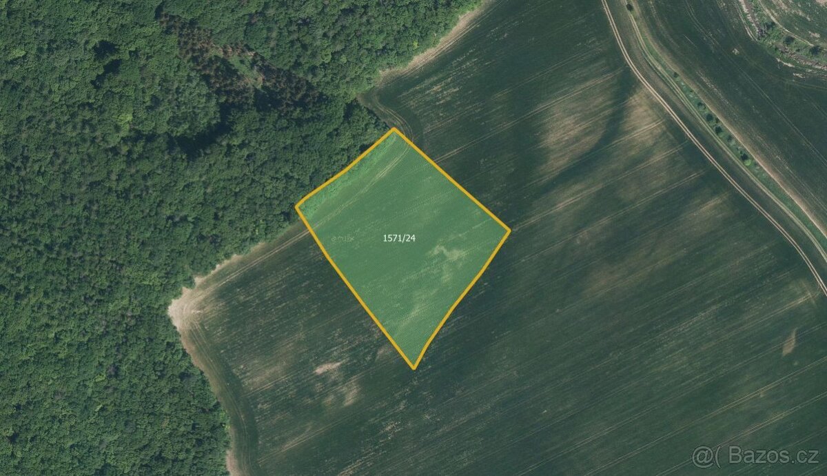 Zemědělská půda, prodej, Bohuslavice, Kyjov, Hodonín