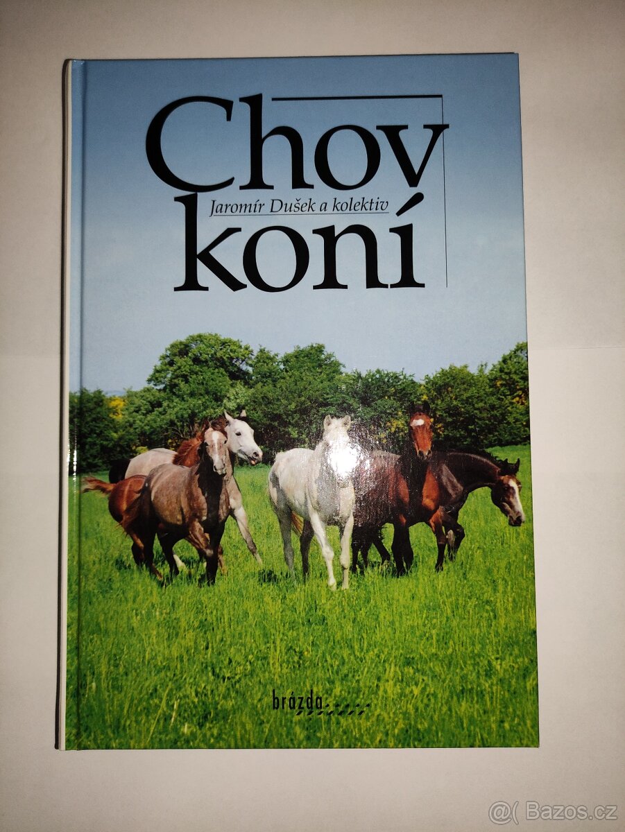 Chov koní