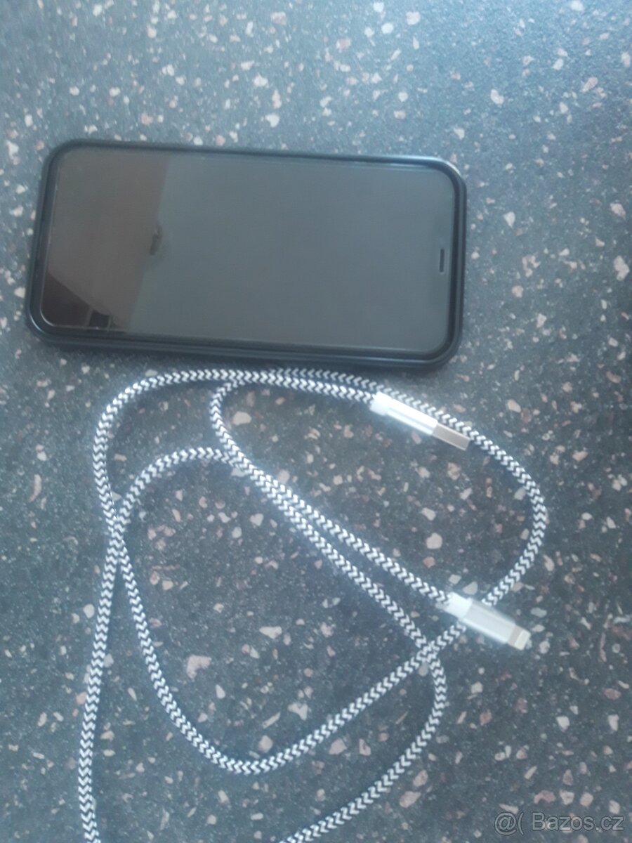 Apple 11