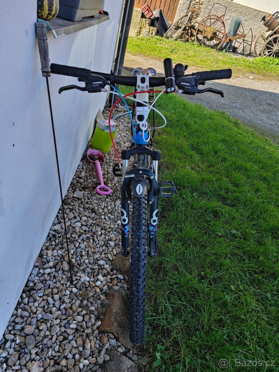 Kolo 26' Cygnus