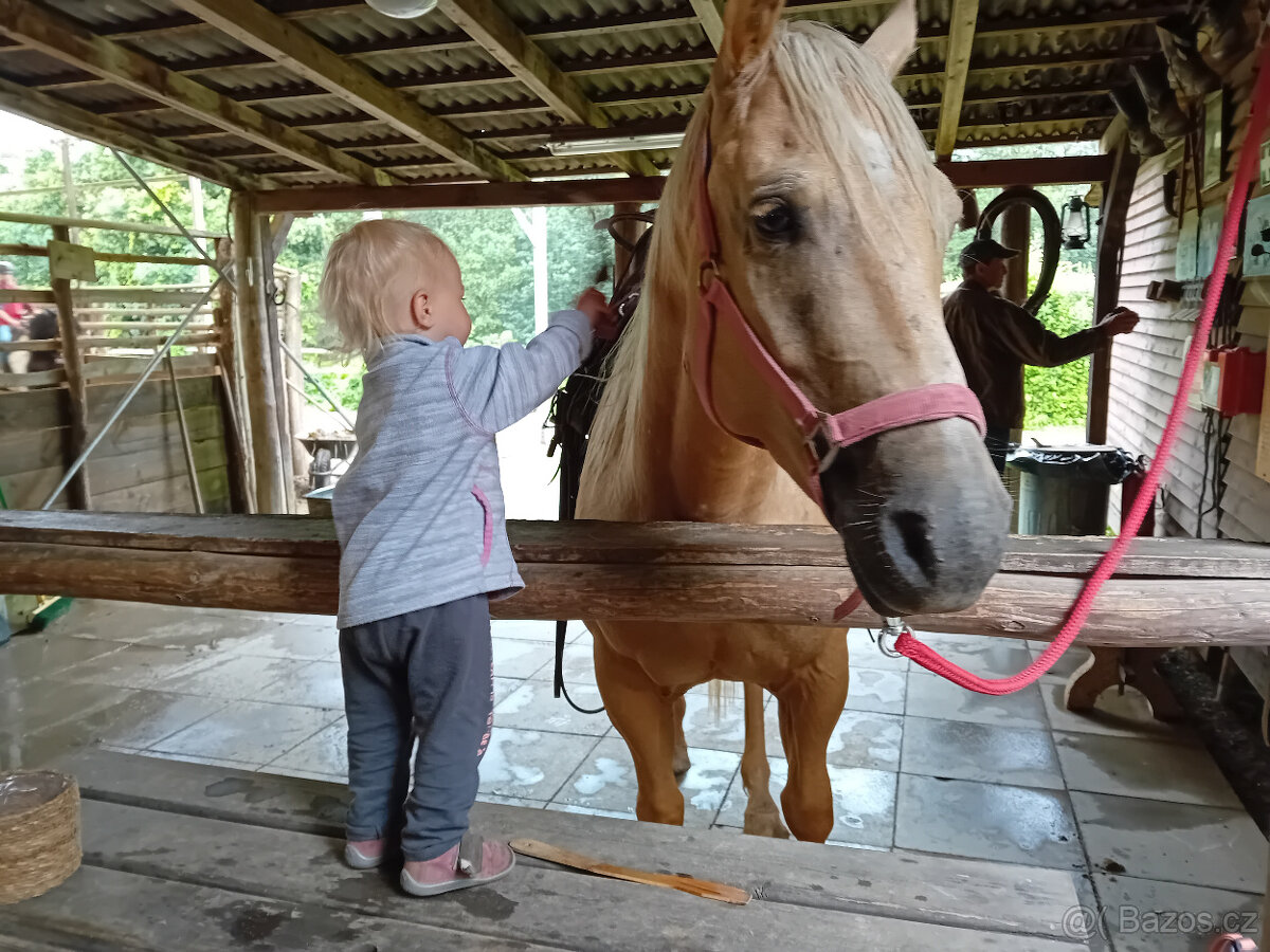 Zážitková exkurze na ranči 10km od Plzně
